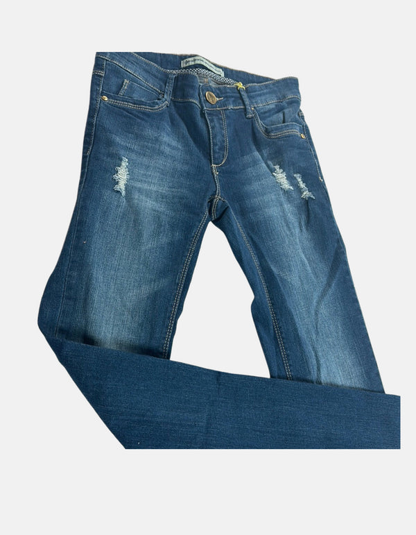Distressed Denim Glory Jeans